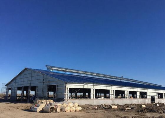 품질 철강 창고 금속 건설 프레임 워크샵 창고 전조 건물 맞춤식 철강 구조 공장